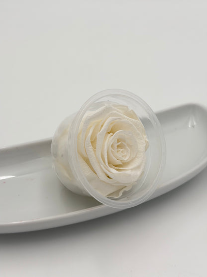 Blüte Infinity Rose dijou ivory groß 1 Stück