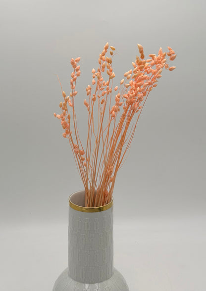 Briza apricot