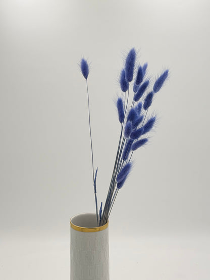 Lagurus blau