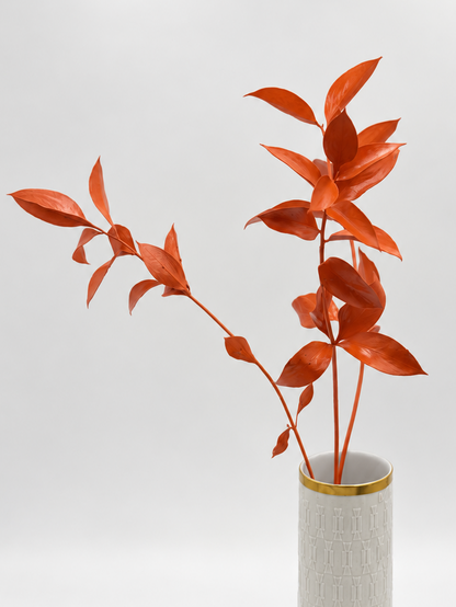Ruscus großblättrig orange