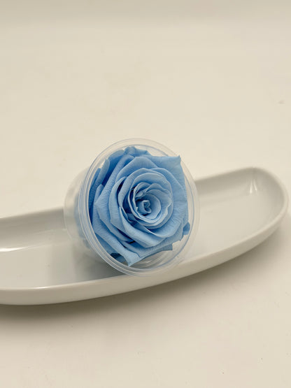 Blüte Infinity Rose dijou Royal Asscher hellblau light blue 1 Stück