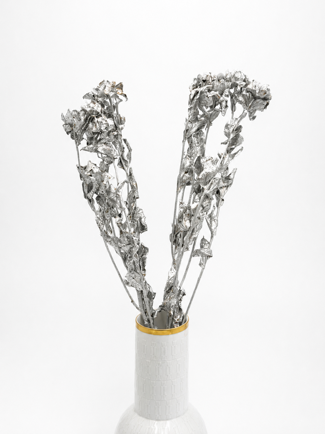 Carthamus silber