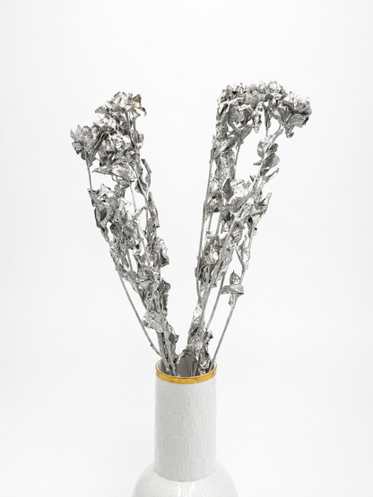 Carthamus silber