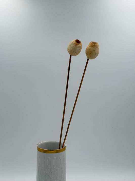 Getrocknete Samenkapsel am Holzstab creme Natur 2 Stück