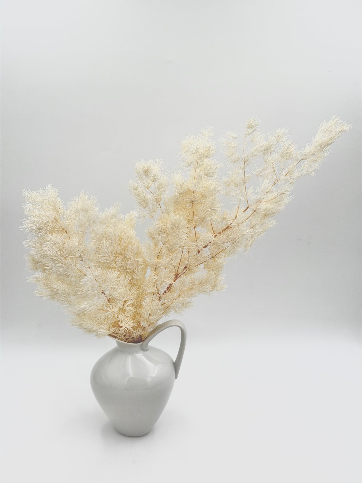 Asparagus weiß creme stabilisiert