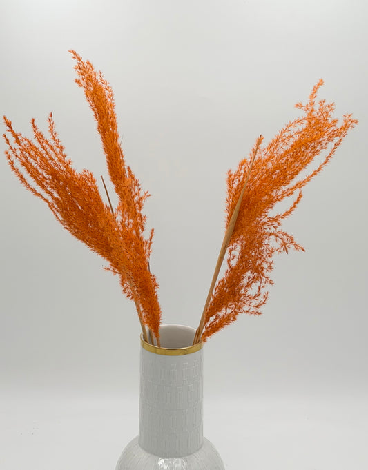 Pampas Stipha Federgras Stiel kurz orange 5 Stück