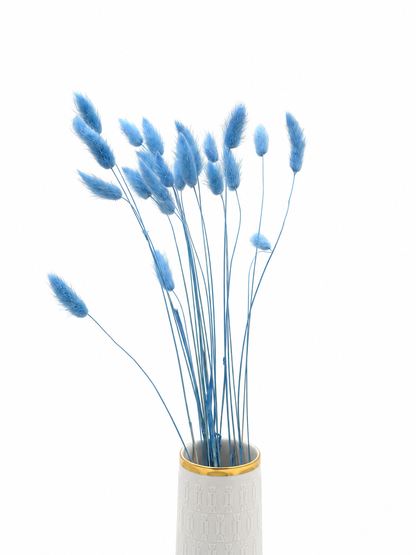 Lagurus hellblau