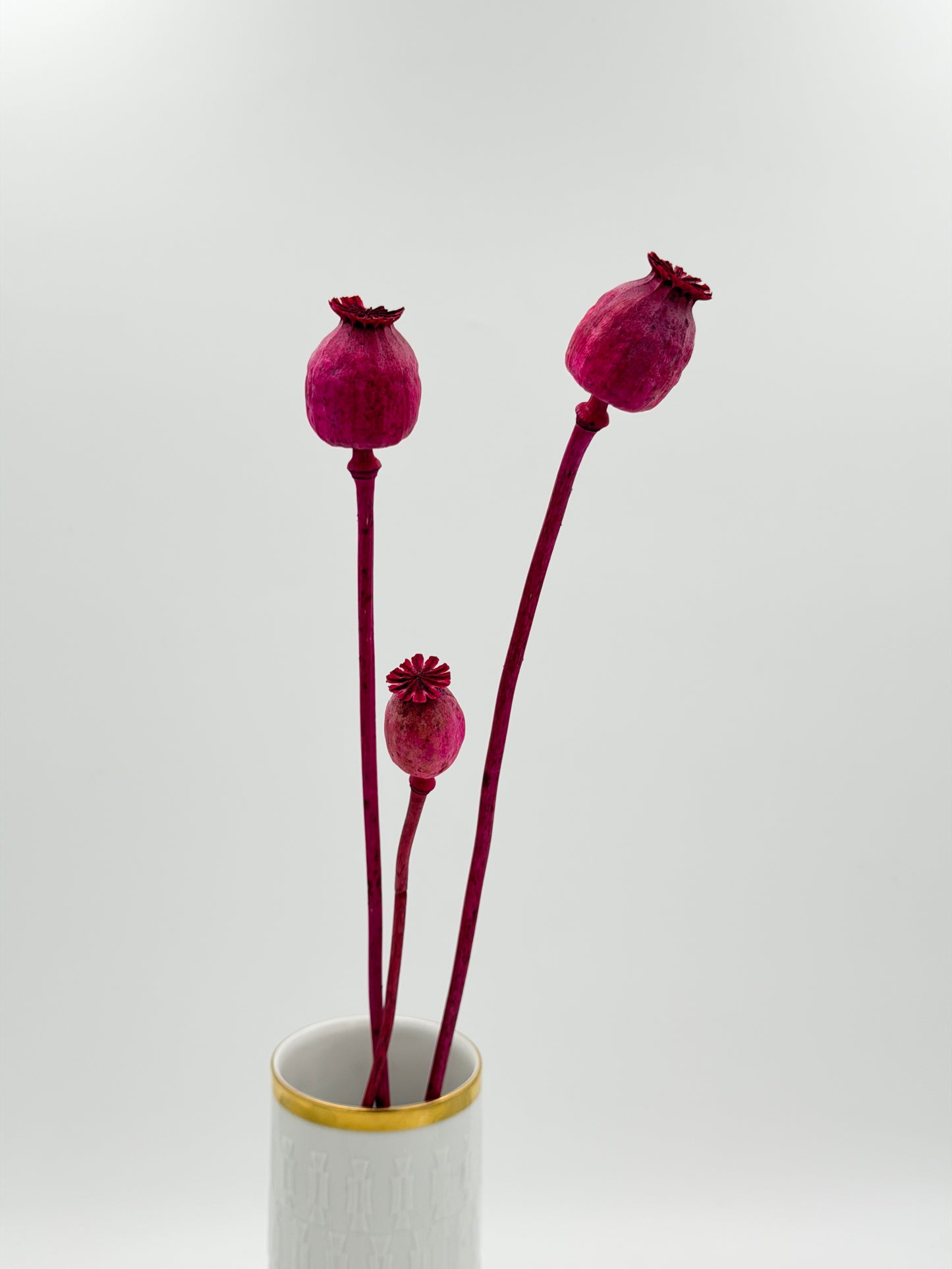 Mohnkapsel pink 3 Stück