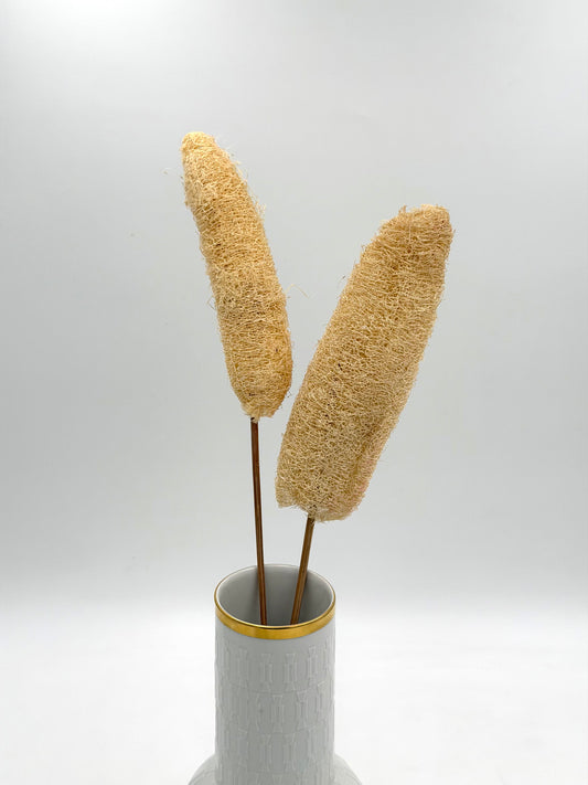 Luffa am Holzstab creme Natur 2 Stück
