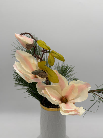 Magnolie 45cm 1 Stück