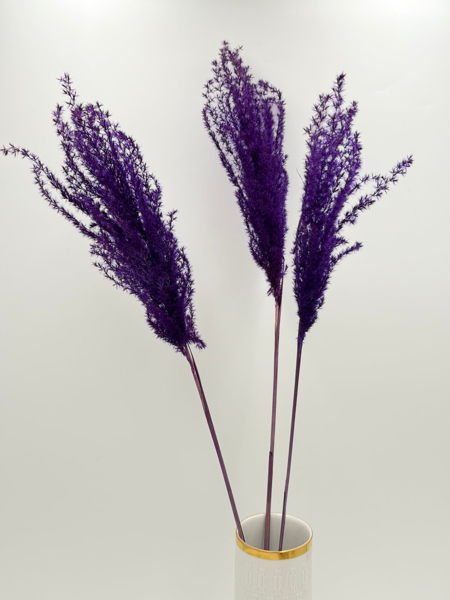 Pampas Stipha Federgras Stiel lila 3 Stück