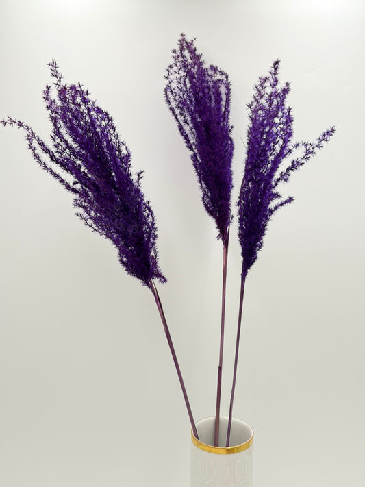 Pampas Stipha Federgras Stiel lila 3 Stück