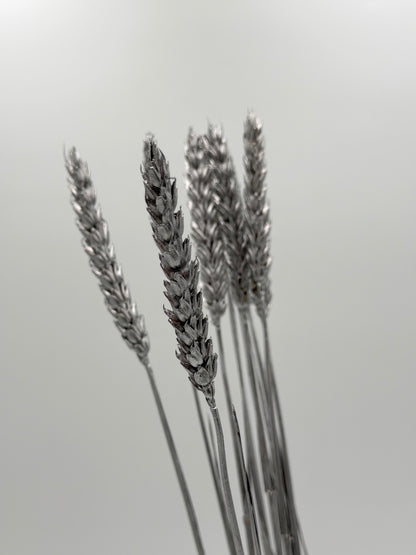 Weizen silber 10er