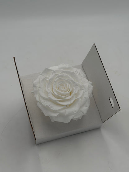Blüte Infinity Rose dijou 10 cm classic white 1 Stück