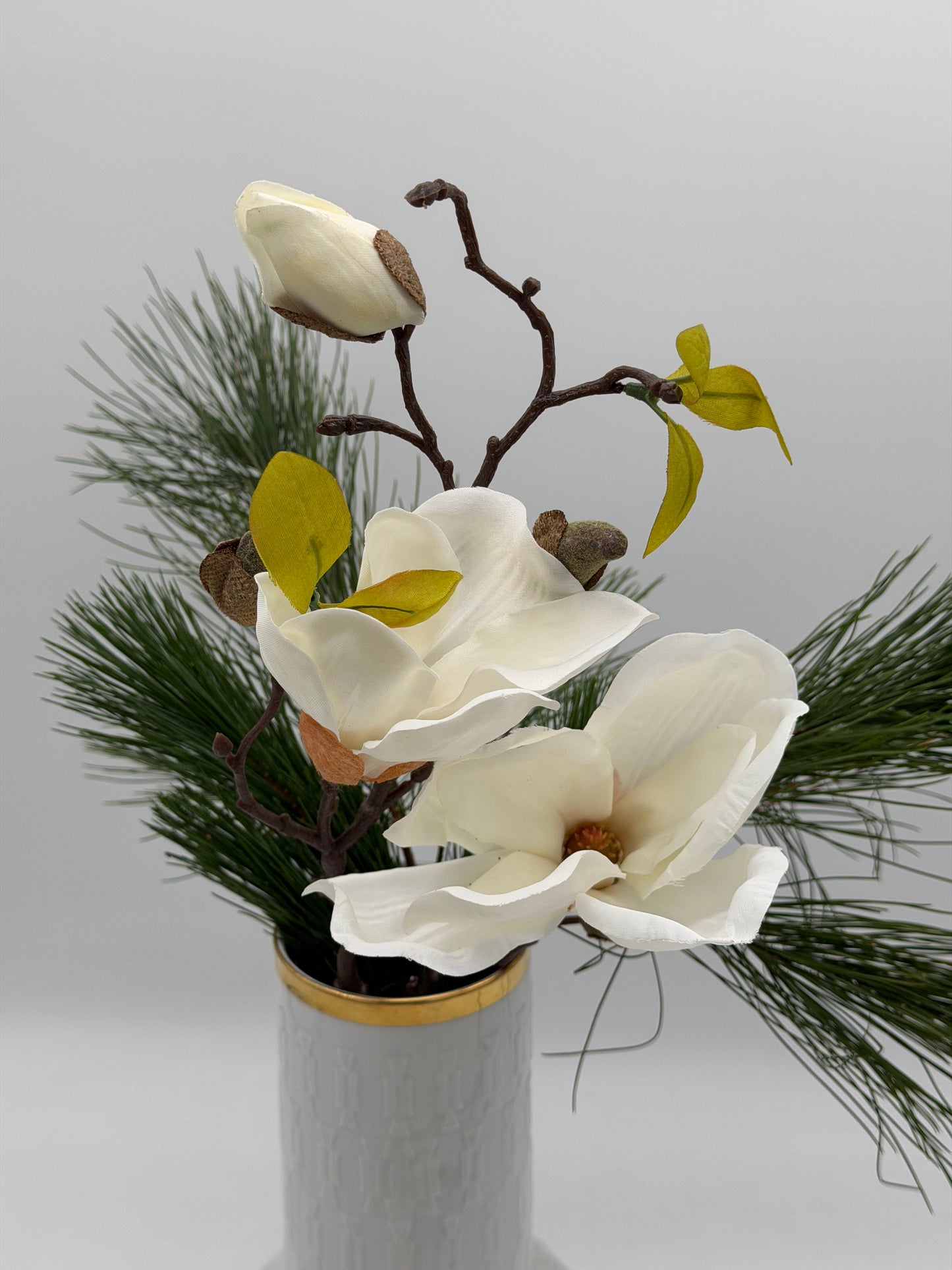 Magnolie 45cm 1 Stück