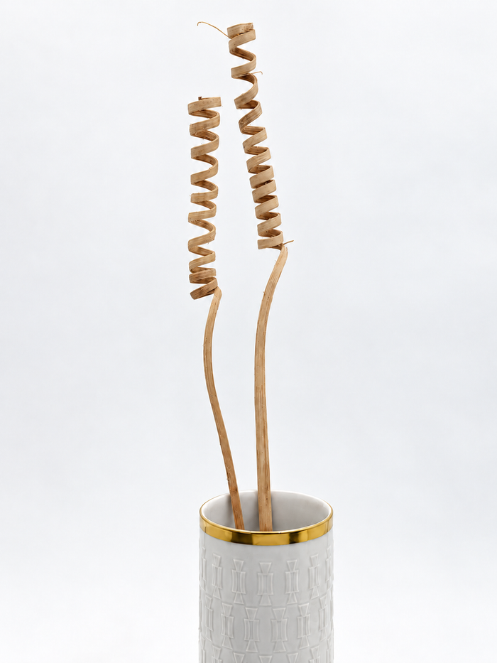 Cane Spring Natur