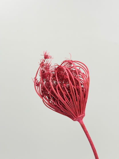 Fenchel pink