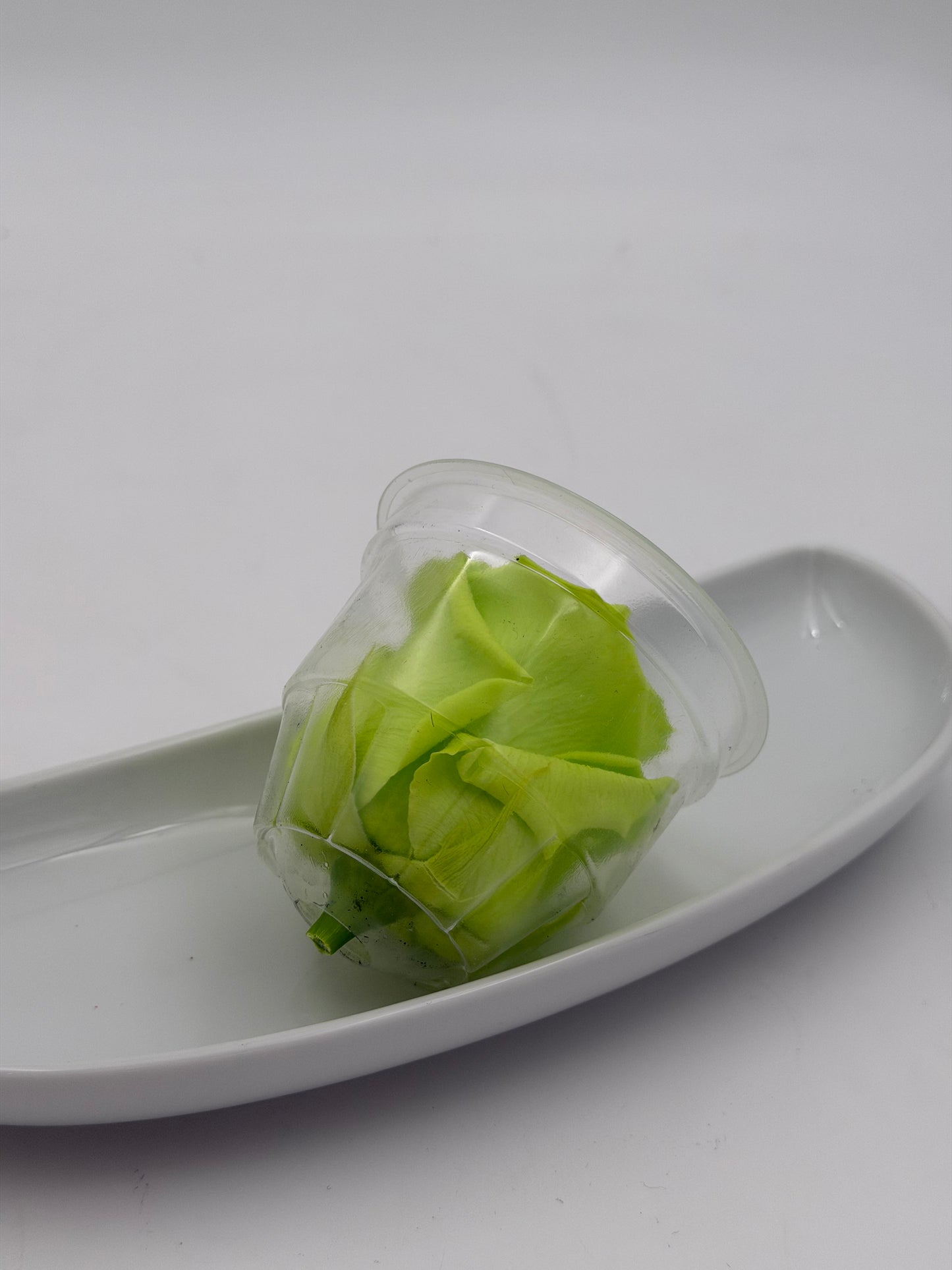 Blüte Infinity Rose hellgrün lime green 1 Stück