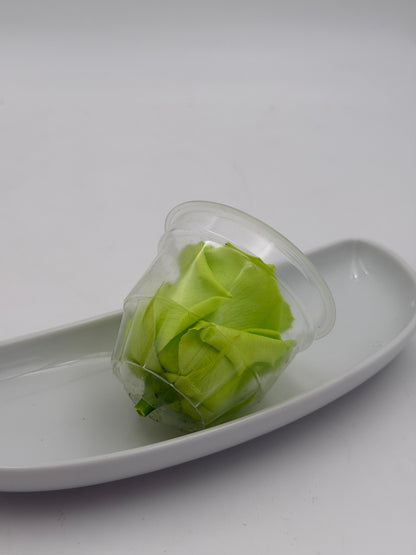 Blüte Infinity Rose hellgrün lime green 1 Stück