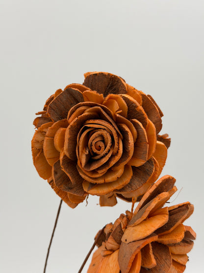 Blüte Sola am Draht orange apricot 2 Stück