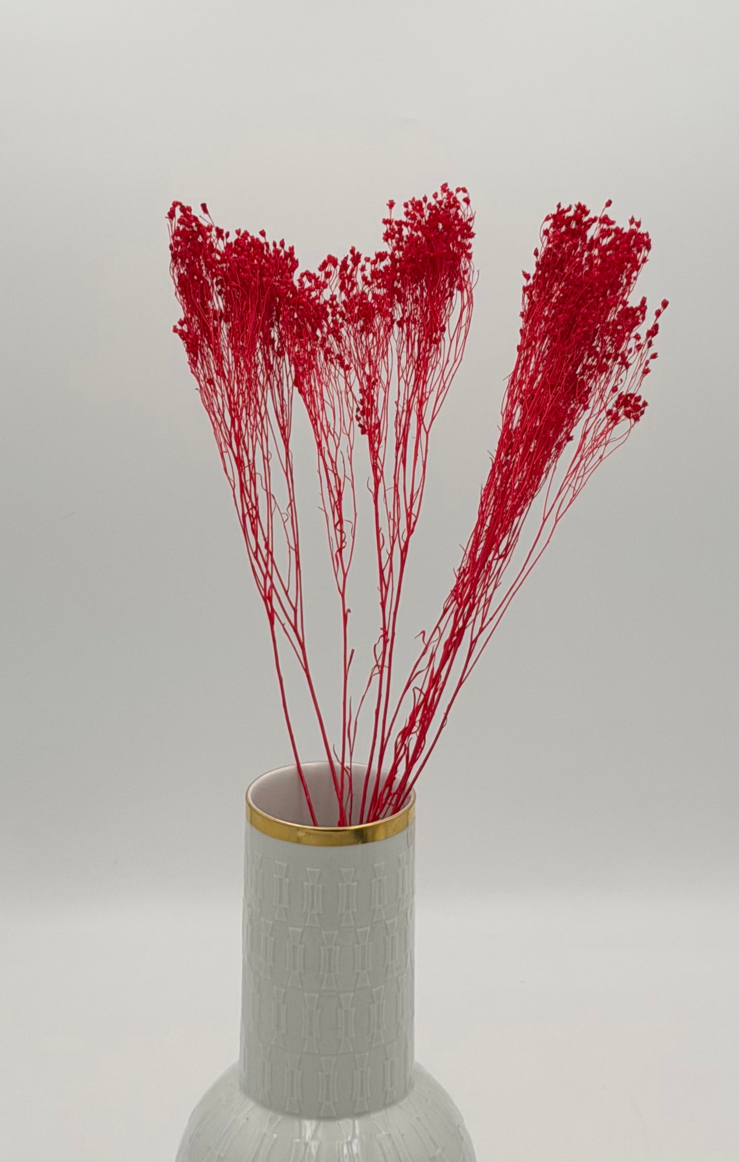 Broom Bloom rot