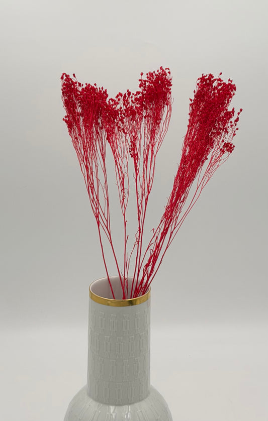 Broom Bloom rot