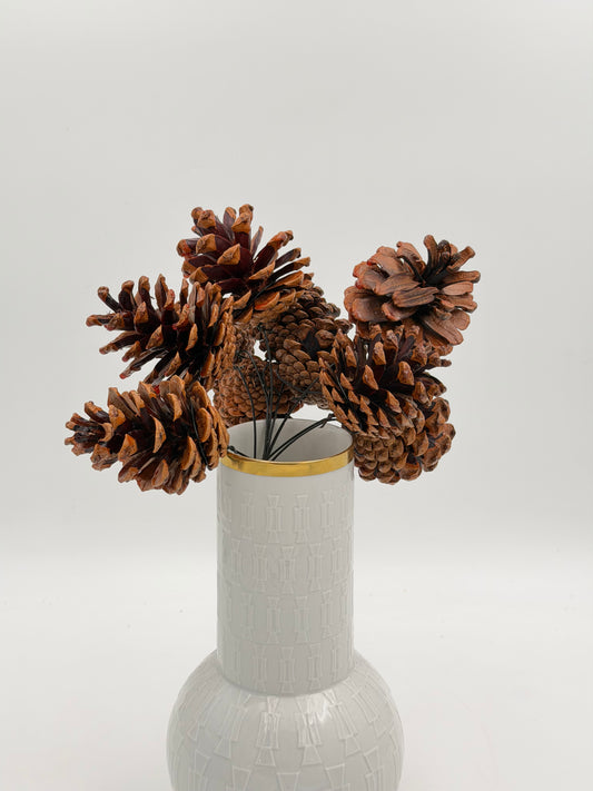 Pinien Zapfen lackiert am Draht 10er