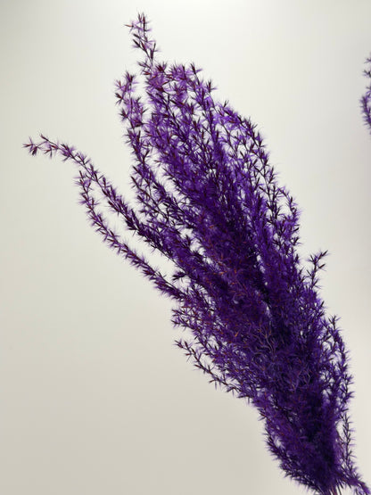 Pampas Stipha Federgras Stiel lila 3 Stück