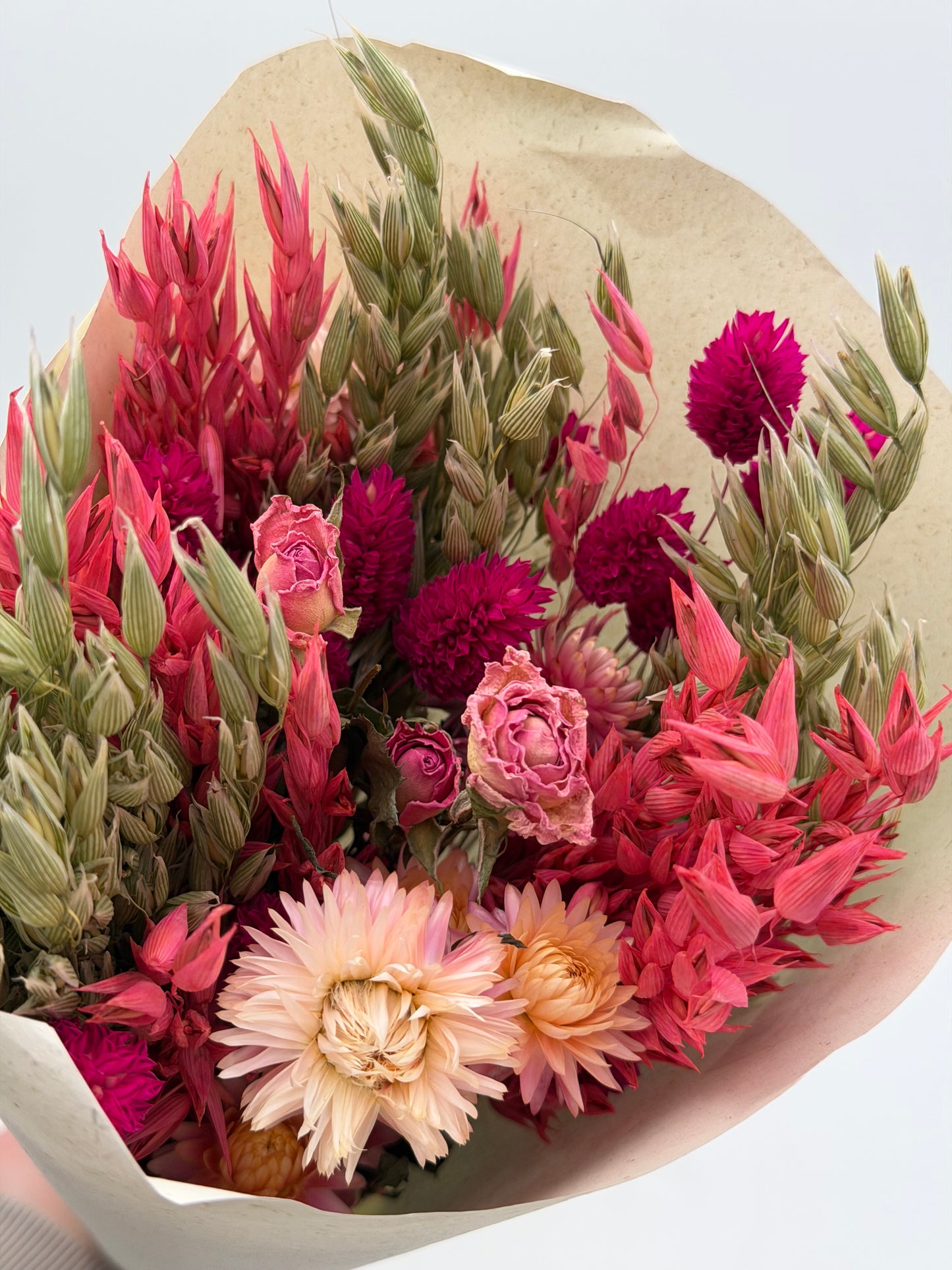 Trockenbund Lady Pink