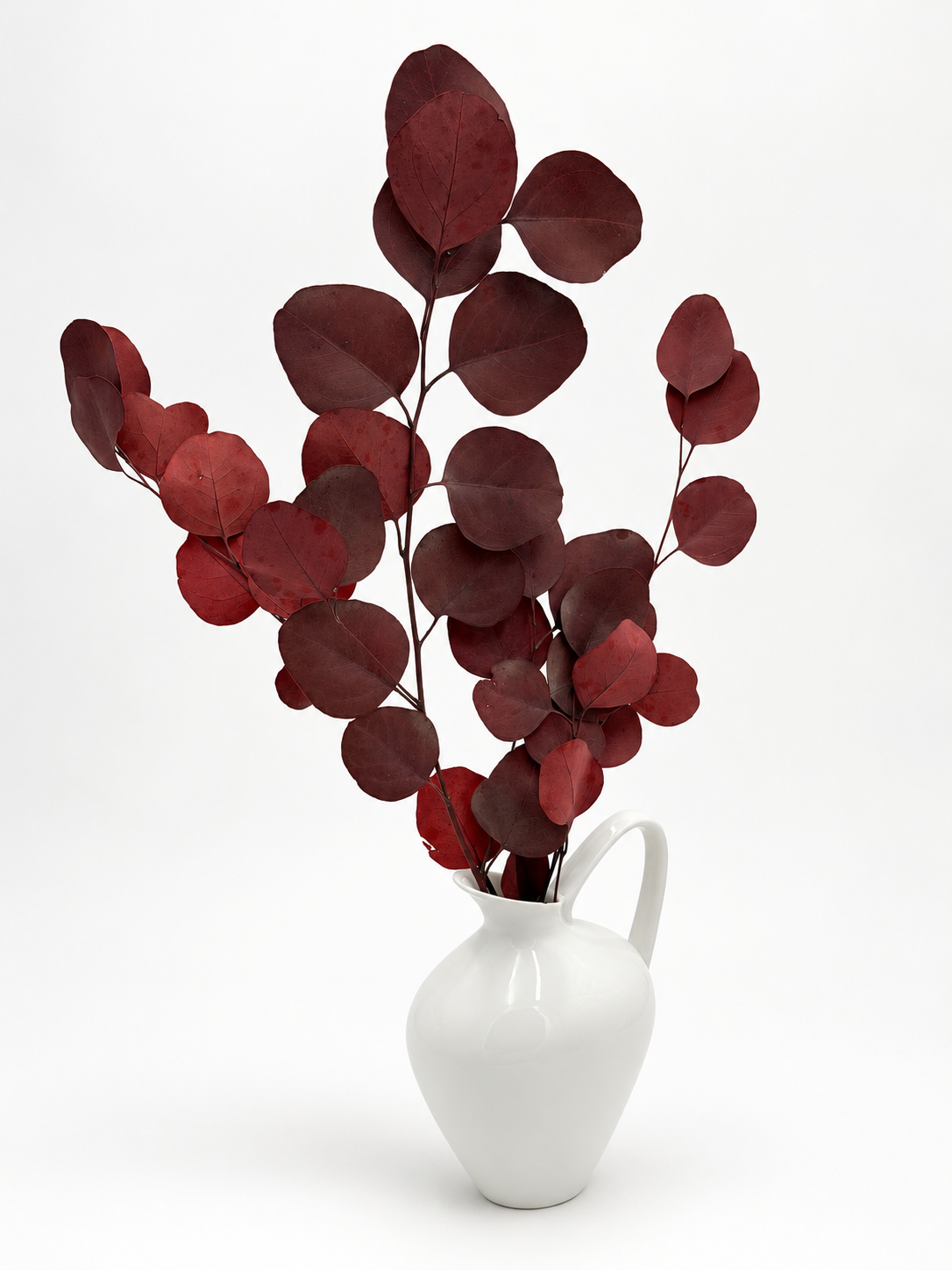 Eukalyptus Populus rot stabilisiert