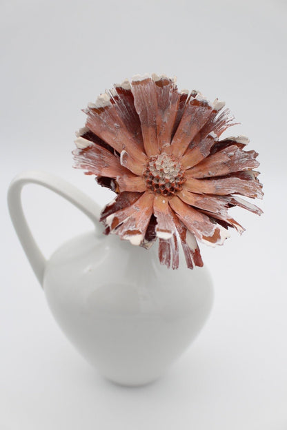 Protea geschnitten rosa weiß frosted 2 Stück