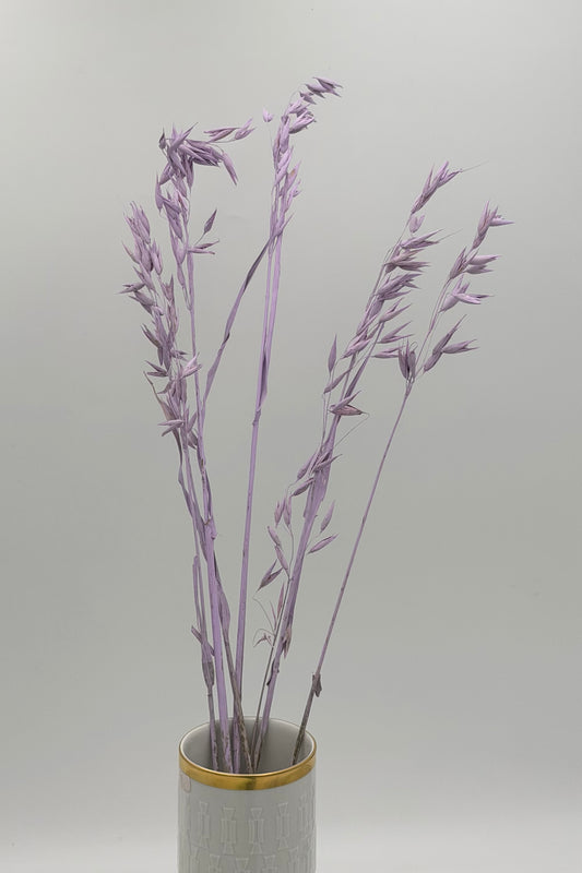 Hafer flieder lila 5er