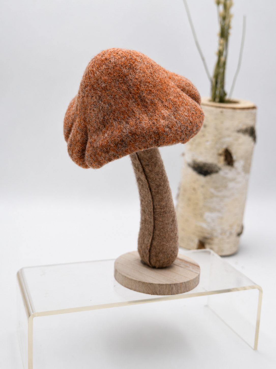 Deko-Pilz mit Filzhut & Holzfuß 21 cm x 11 cm verschiedene Farben