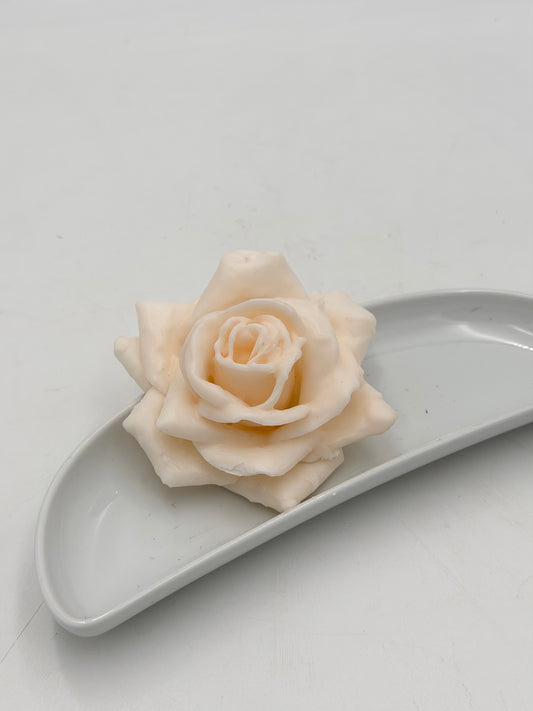 Wachs Rose Champagner 1 Stück