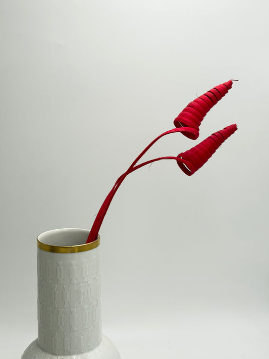 Cane Cone rot 2 Stück