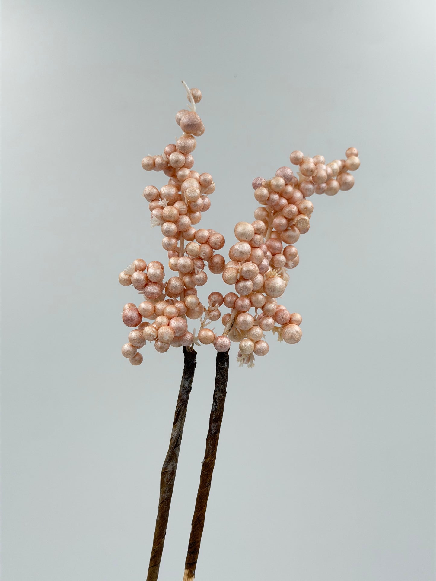 Beeren am Stab 2 Stück