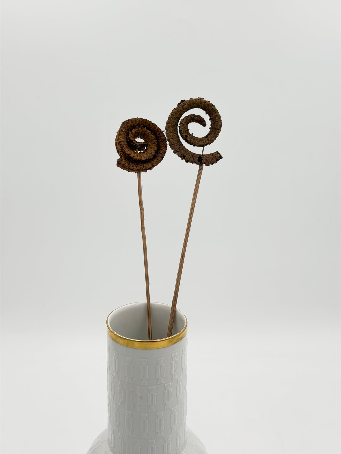 Palmringe braun 2 Stück