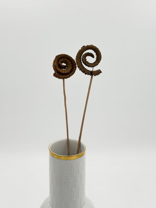 Palmringe braun 2 Stück