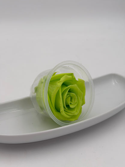 Blüte Infinity Rose hellgrün lime green 1 Stück