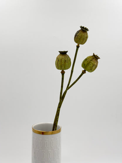 Mohnkapsel grün 3 Stück