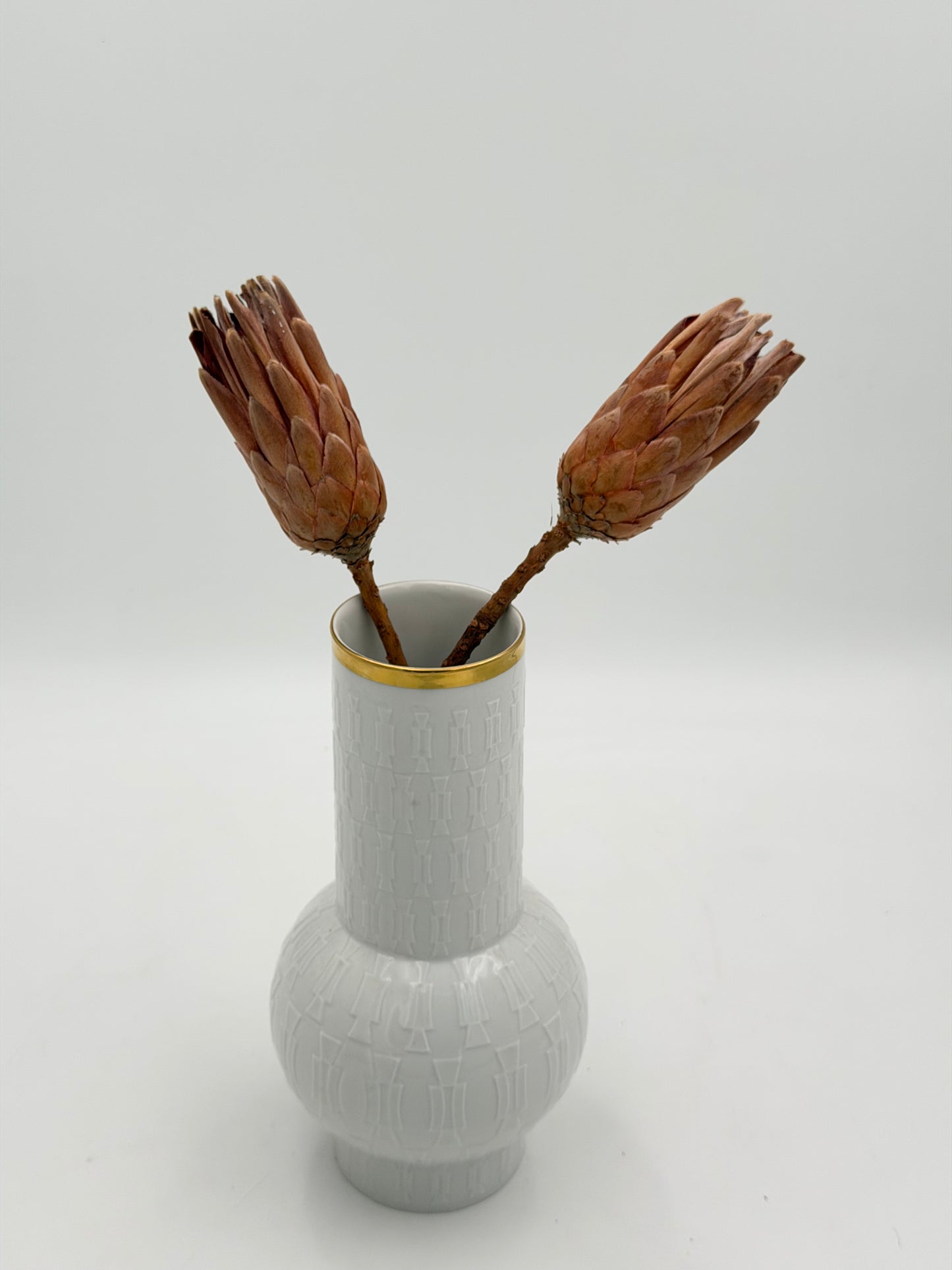 Protea geschlossen orange braun 2 Stück