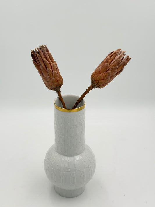 Protea geschlossen orange braun 2 Stück