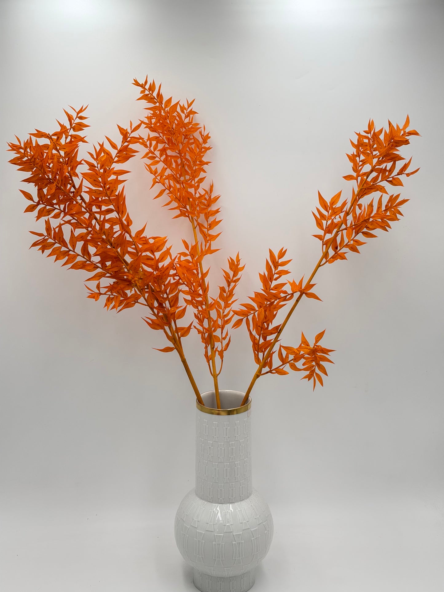 Ruscus orange