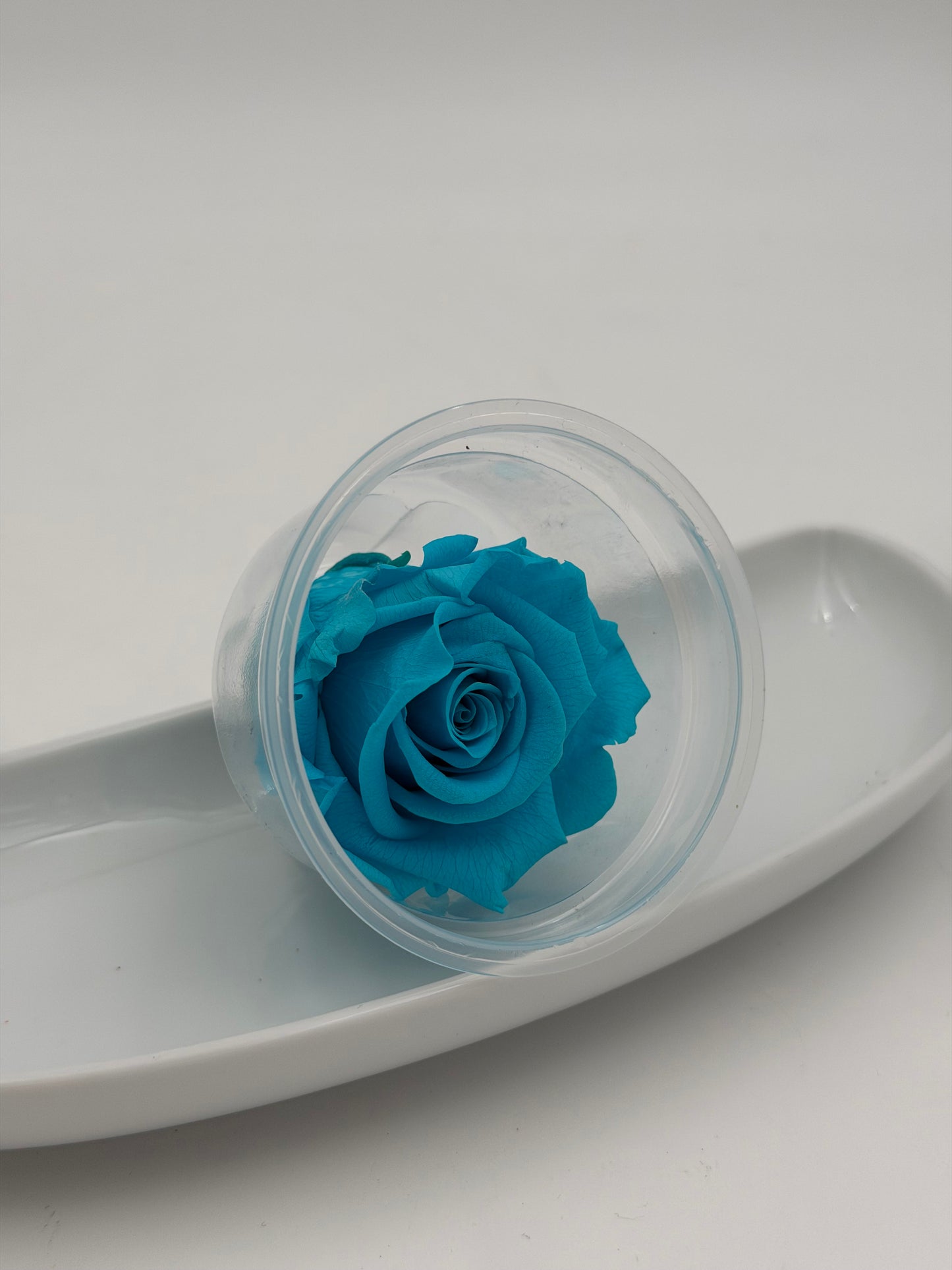 Blüte Infinity Rose türkis bright turquoise 1 Stück
