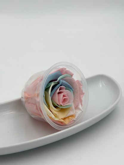 Blüte Infinity Rose Pastel Rainbow 1 Stück