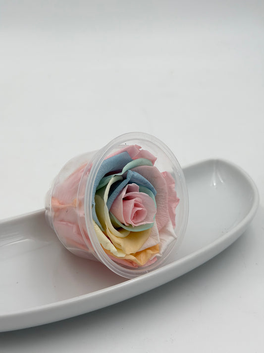 Blüte Infinity Rose Pastel Rainbow 1 Stück
