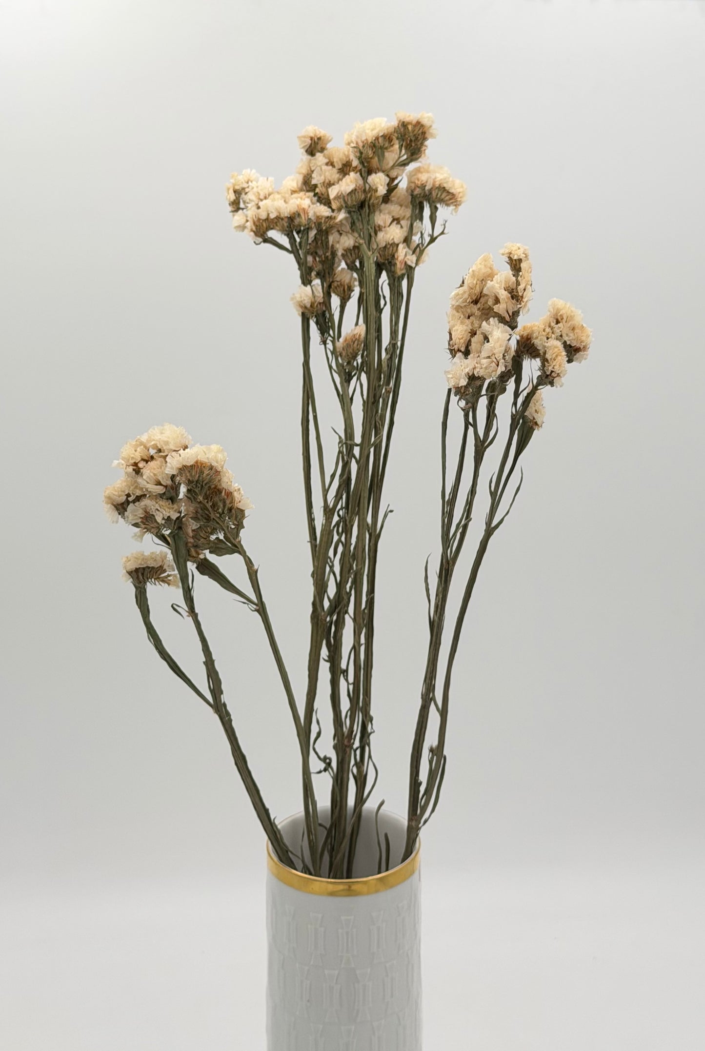 Statice Strandflieder weiß creme natur