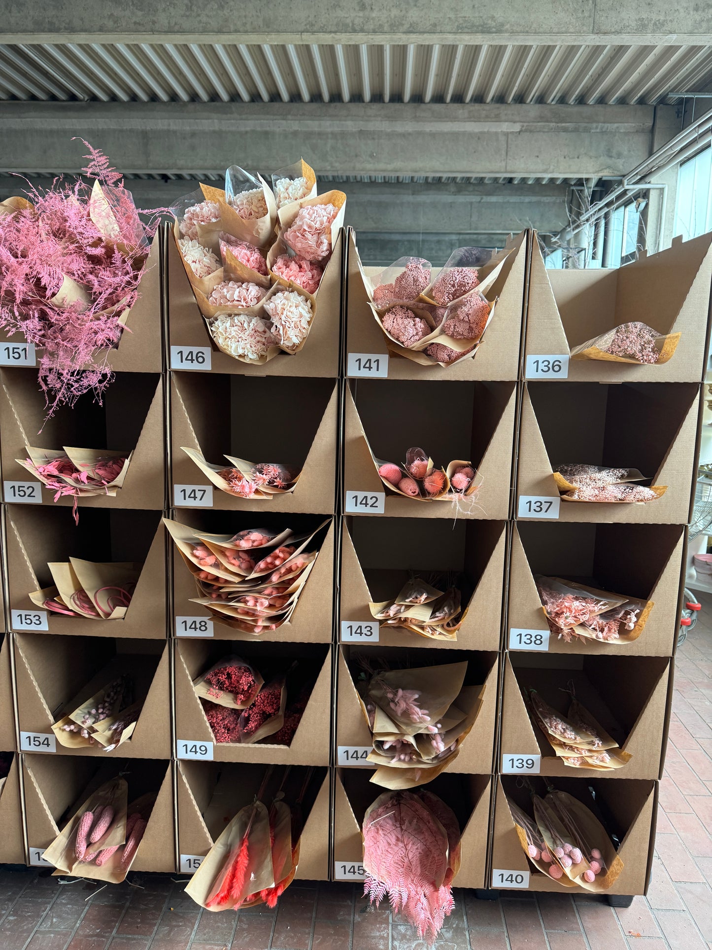 Trockenblumen MYSTERY BOX