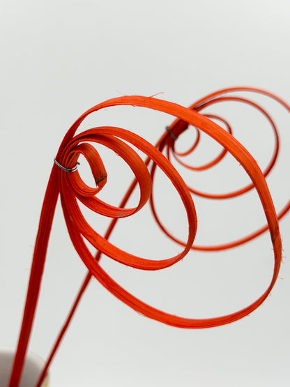 Cane Coil orange 3 Stück