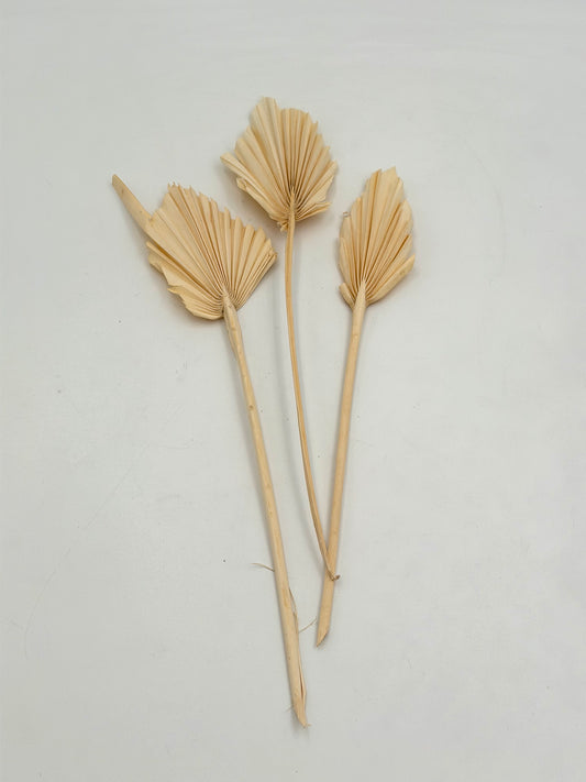 Palmblatt klein creme 3er